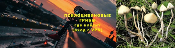 крисы Нея