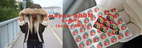 mdpv Богородицк