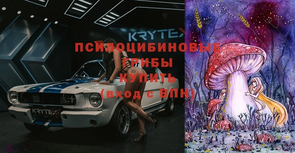 мяу мяу мука Белокуриха