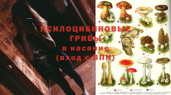 прущая мука Богданович