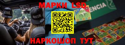 индика Партизанск