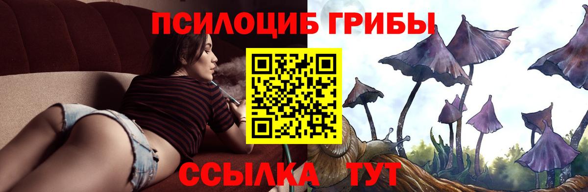 Соль-Илецк  Галлюциногенные грибы Psilocybe  Вход с VPN  Псилоцибиновые грибы Cubensis 