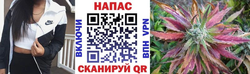Бошки марихуана конопля  Соль-Илецк 